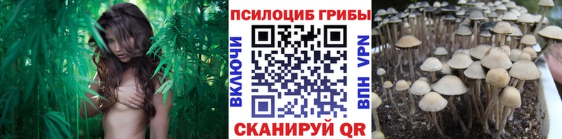Псилоцибиновые грибы мицелий  Сургут 